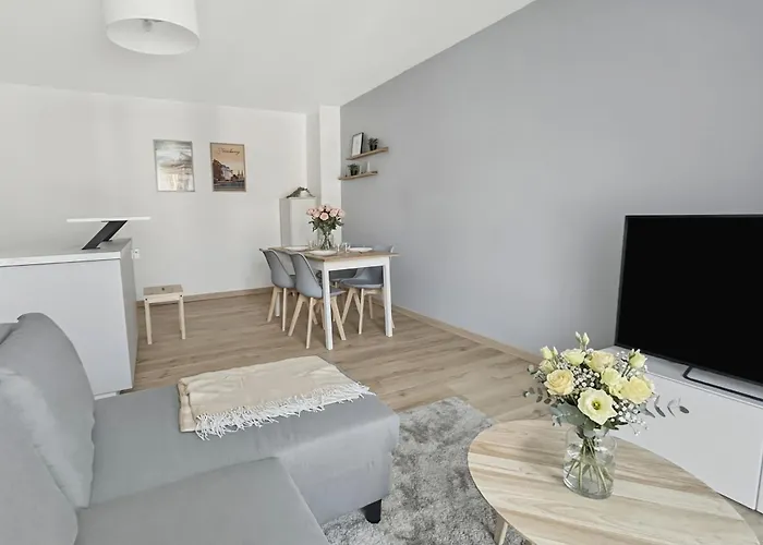 T2 Lumineux - Tram Au Pied - Centre En 15 Min Apartment Strasbourg