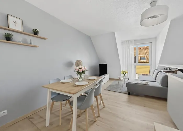 T2 Lumineux - Tram Au Pied - Centre En 15 Min * Strasbourg