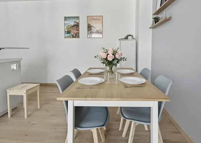 T2 Lumineux - Tram Au Pied - Centre En 15 Min Strasbourg